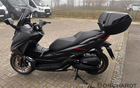 Neufahrzeug Honda Forza 125 - Bild 6