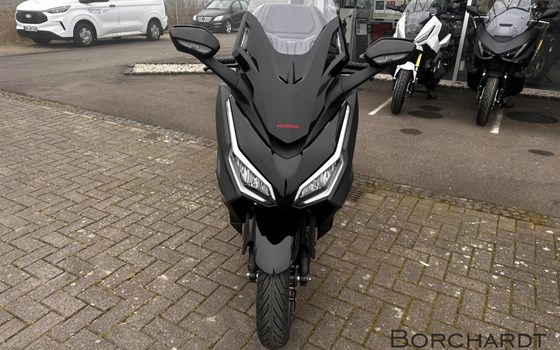 Neufahrzeug Honda Forza 125 - Bild 8