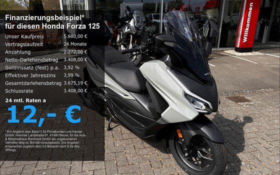 Neufahrzeug Honda Forza 125 - Bild 1