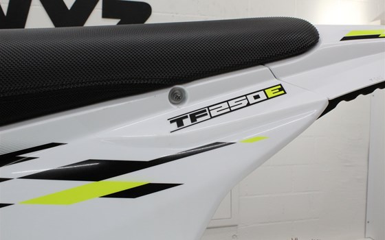 Neufahrzeug Triumph TF 250-E - Bild 6