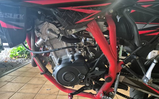 Gebrauchtmotorrad Beta RR 125 4T - Bild 6 Gebrauchtmotorrad Beta RR 125 4T - Bild 6