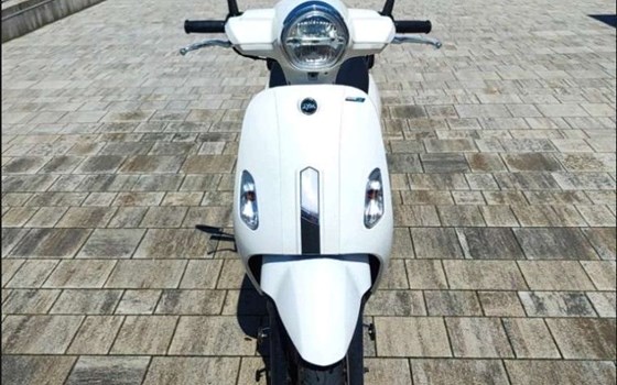 Gebrauchtmotorrad Sym Fiddle 50 - Bild 2 Gebrauchtmotorrad Sym Fiddle 50 - Bild 2