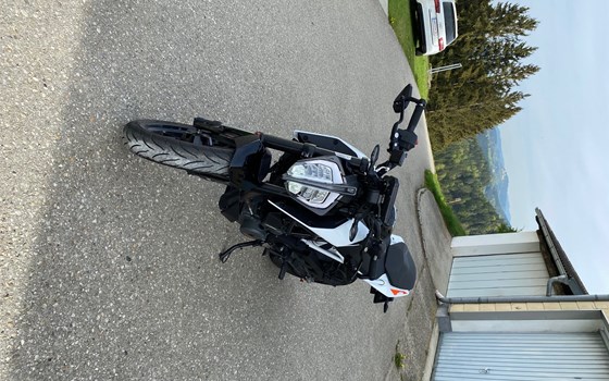 Gebrauchtmotorrad KTM 390 Duke - Bild 2 Gebrauchtmotorrad KTM 390 Duke - Bild 2