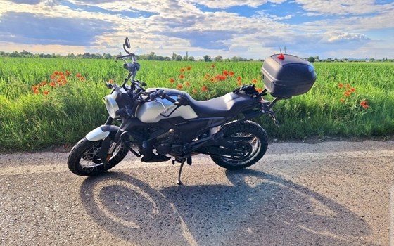 Gebrauchtmotorrad Zontes 125 GK - Bild 2 Gebrauchtmotorrad Zontes 125 GK - Bild 2