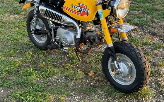 Gebrauchtmotorrad Honda Monkey - Bild 1 Gebrauchtmotorrad Honda Monkey - Bild 1