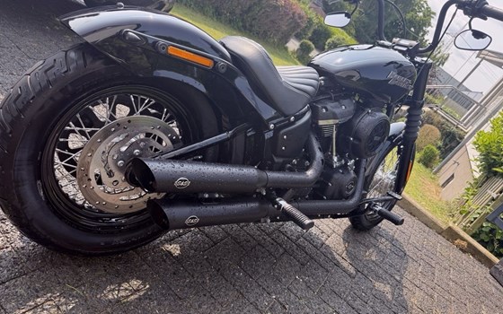 Gebrauchtmotorrad Harley-Davidson Softail Street Bob FXBB - Bild 6