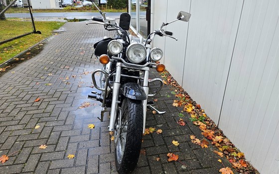 Gebrauchtmotorrad Yamaha XVS 650 Drag Star Classic - Bild 3