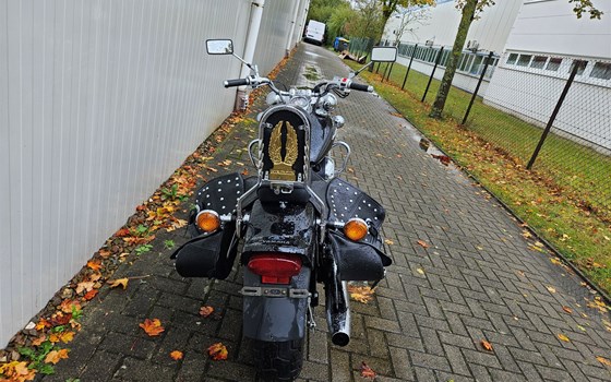 Gebrauchtmotorrad Yamaha XVS 650 Drag Star Classic - Bild 5