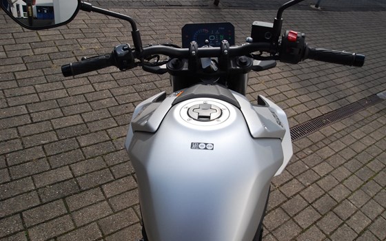 Neufahrzeug Suzuki GSX-8S - Bild 8