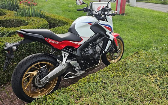 Gebrauchtmotorrad Honda CB650F - Bild 10