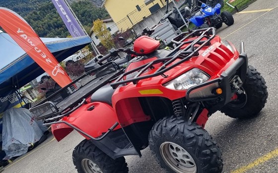 Motorrad Occasion Arctic Cat 650 H1 4x4 - Bild 2