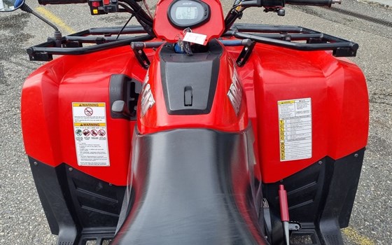 Motorrad Occasion Arctic Cat 650 H1 4x4 - Bild 5