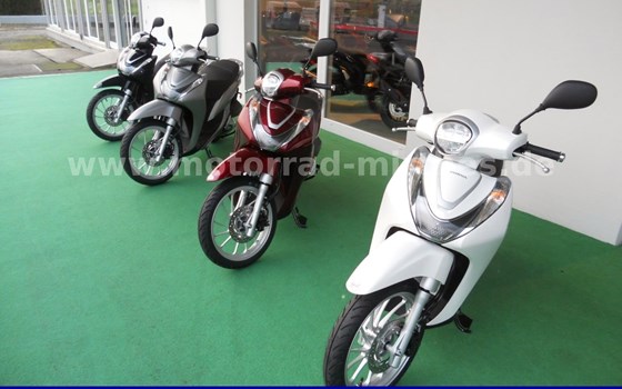 Gebrauchtmotorrad Honda SH125 - Bild 2