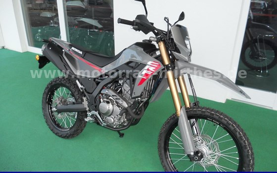 Gebrauchtmotorrad Honda CRF300L - Bild 2
