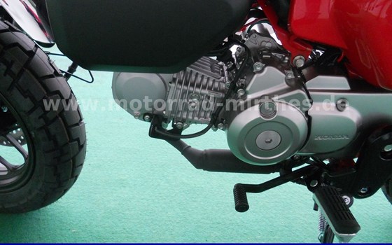 Gebrauchtmotorrad Honda Monkey 125 - Bild 13