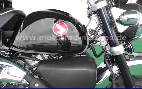 Gebrauchtmotorrad Honda Monkey 125 - Bild 6