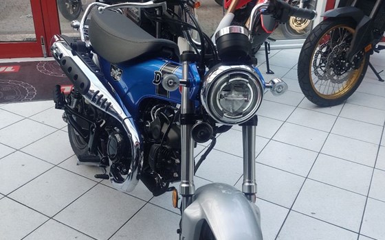 Gebrauchtmotorrad Honda Dax 125 - Bild 3