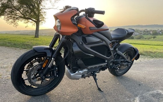 Gebrauchtmotorrad Harley-Davidson LiveWire ELW - Bild 1
