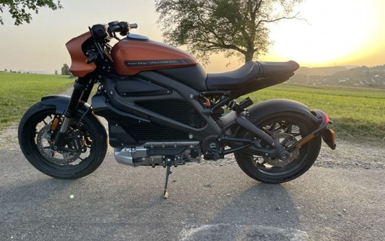 Gebrauchtmotorrad Harley-Davidson LiveWire ELW - Bild 3