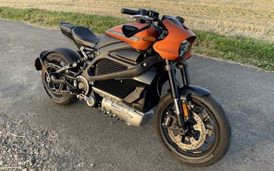 Gebrauchtmotorrad Harley-Davidson LiveWire ELW - Bild 4