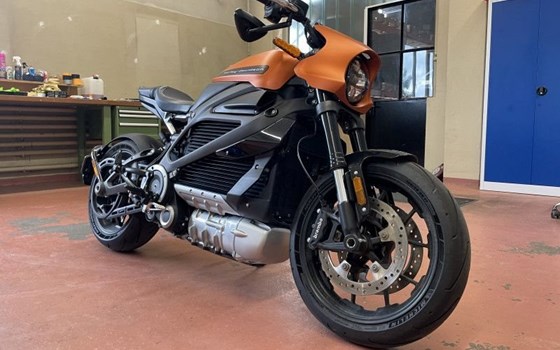 Gebrauchtmotorrad Harley-Davidson LiveWire ELW - Bild 5