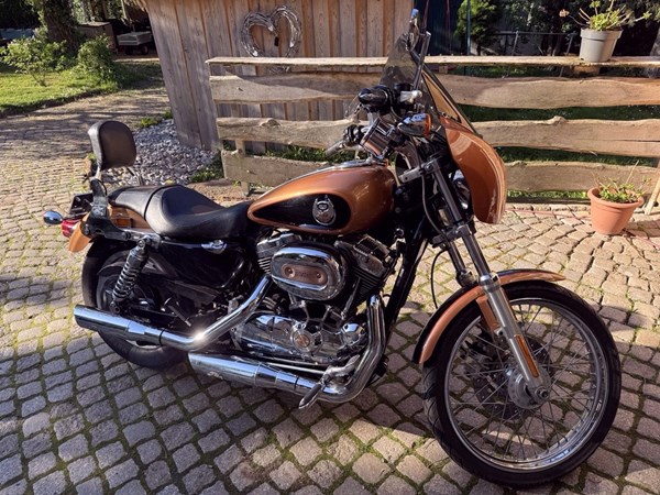Gebrauchtmotorrad Harley-Davidson Sportster XL 1200