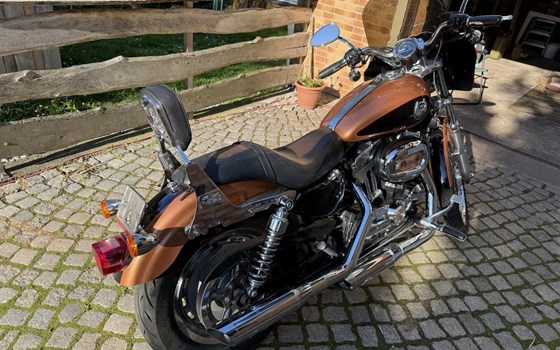 Gebrauchtmotorrad Harley-Davidson Sportster XL 1200 - Bild 5