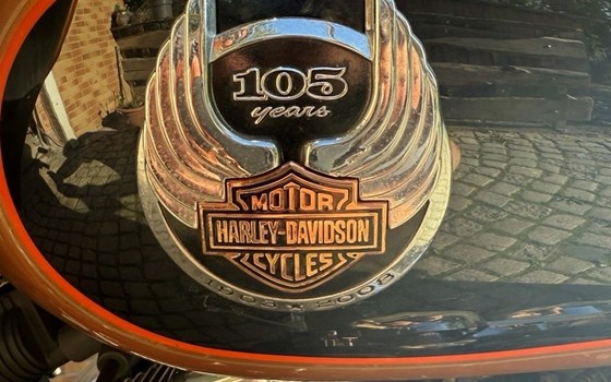 Gebrauchtmotorrad Harley-Davidson Sportster XL 1200 - Bild 6