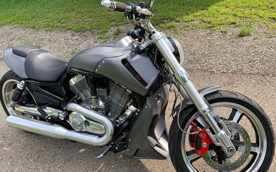 Motorrad Occasion Harley-Davidson V-Rod Muscle VRSCF - Bild 1