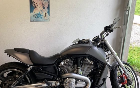 Motorrad Occasion Harley-Davidson V-Rod Muscle VRSCF - Bild 5