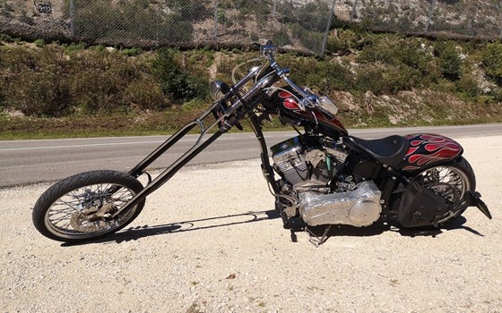 Offerta Harley-Davidson CVO Softail Springer FXSTSSE - Immagine 1