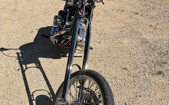 Offerta Harley-Davidson CVO Softail Springer FXSTSSE - Immagine 2