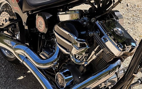 Offerta Harley-Davidson CVO Softail Springer FXSTSSE - Immagine 3