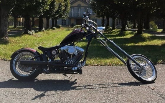 Offerta Harley-Davidson CVO Softail Springer FXSTSSE - Immagine 5