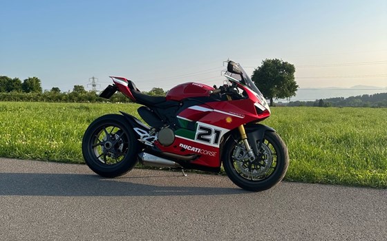 Gebrauchtmotorrad Ducati Panigale V2 Bayliss 1st Championship 20th Anniversary - Bild 3 Gebrauchtmotorrad Ducati Panigale V2 Bayliss 1st Championship 20th Anniversary - Bild 3