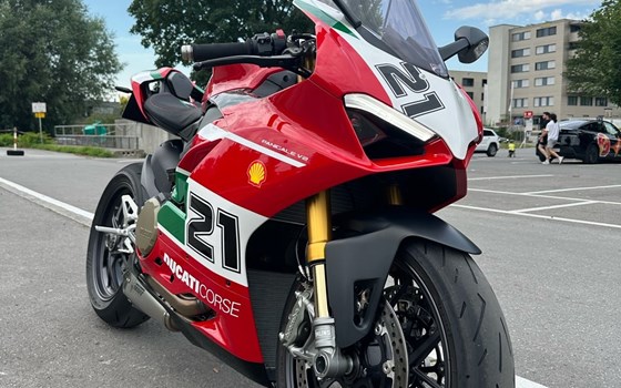 Gebrauchtmotorrad Ducati Panigale V2 Bayliss 1st Championship 20th Anniversary - Bild 6 Gebrauchtmotorrad Ducati Panigale V2 Bayliss 1st Championship 20th Anniversary - Bild 6