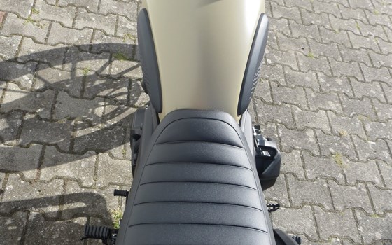 Neufahrzeug Honda CL500 - Bild 5
