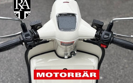 Neufahrzeug Royal Alloy TG 300 LC ABS - Bild 6 Neufahrzeug Royal Alloy TG 300 LC ABS - Bild 6