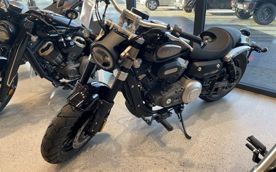 Neufahrzeug Benda Chinchilla 300 - Bild 2