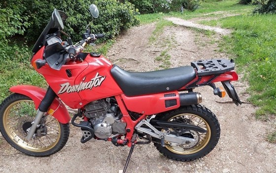 Gebrauchtmotorrad Honda NX 500 Dominator - Bild 2