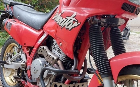 Gebrauchtmotorrad Honda NX 500 Dominator - Bild 4