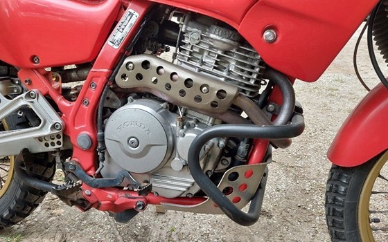 Gebrauchtmotorrad Honda NX 500 Dominator - Bild 5