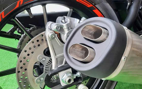 Neufahrzeug Benelli Leoncino 500 - Bild 5