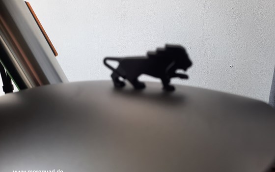 Neufahrzeug Benelli Leoncino 500 - Bild 10