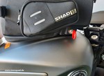 Angebot Benelli Leoncino 800