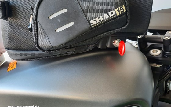 Gebrauchtmotorrad Benelli Leoncino 800 - Bild 15