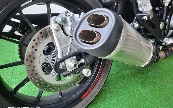 Gebrauchtmotorrad Benelli Leoncino 500 - Bild 5