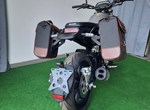 Angebot Benelli Leoncino 500