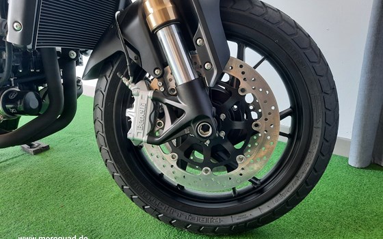 Neufahrzeug Benelli Leoncino 800 - Bild 10