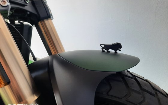 Neufahrzeug Benelli Leoncino 800 - Bild 14